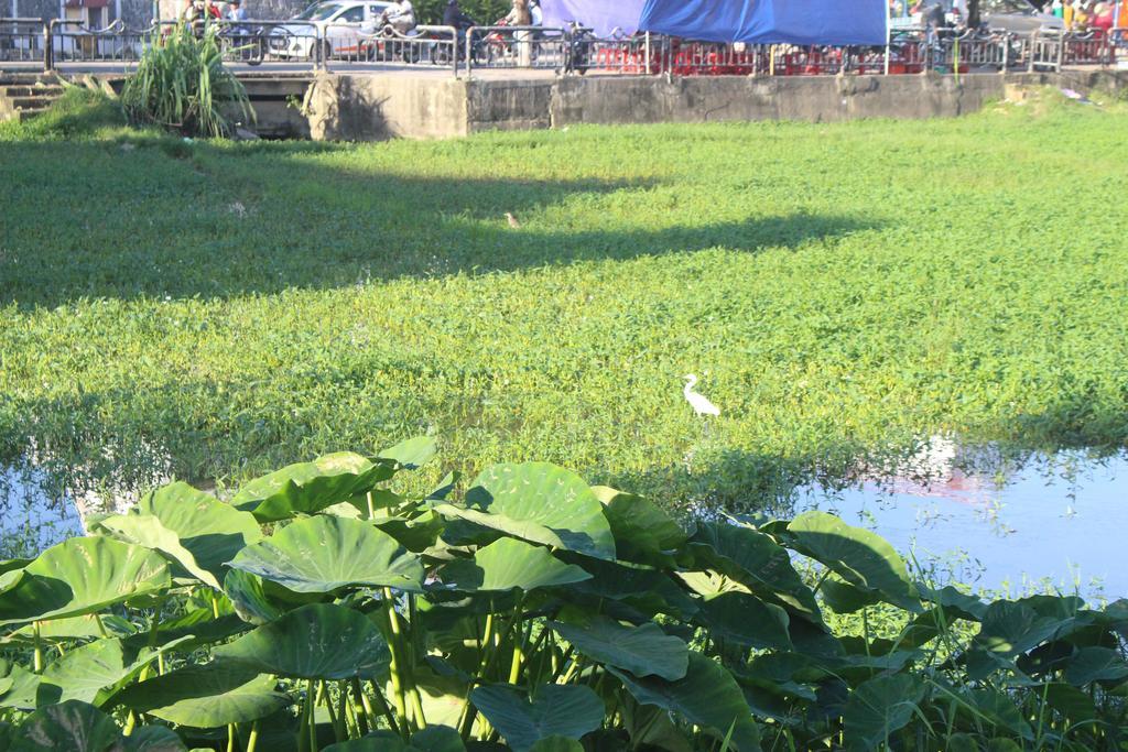 Hoi An Green View Homestay & Villa Kültér fotó