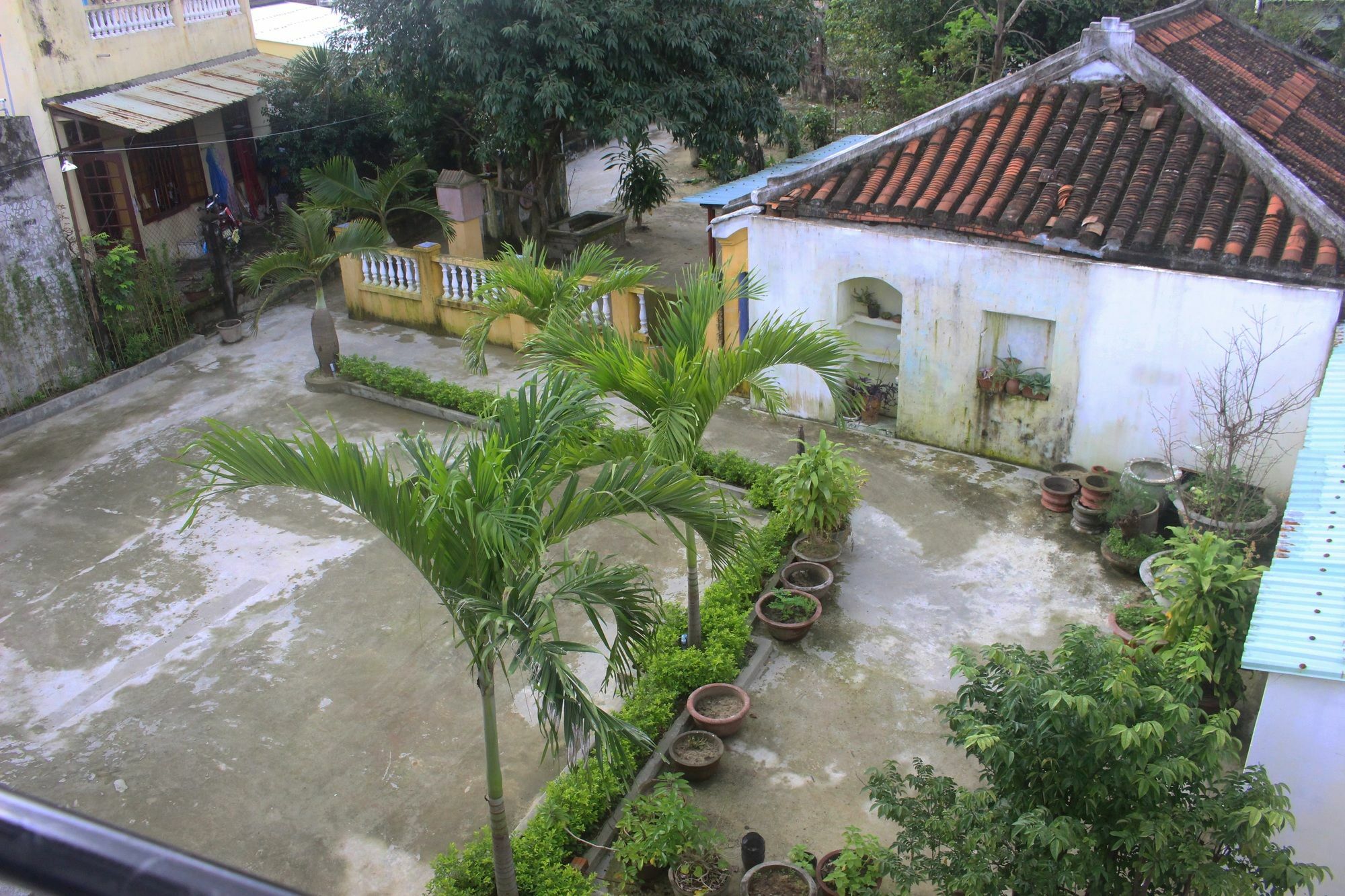 Hoi An Green View Homestay & Villa Kültér fotó