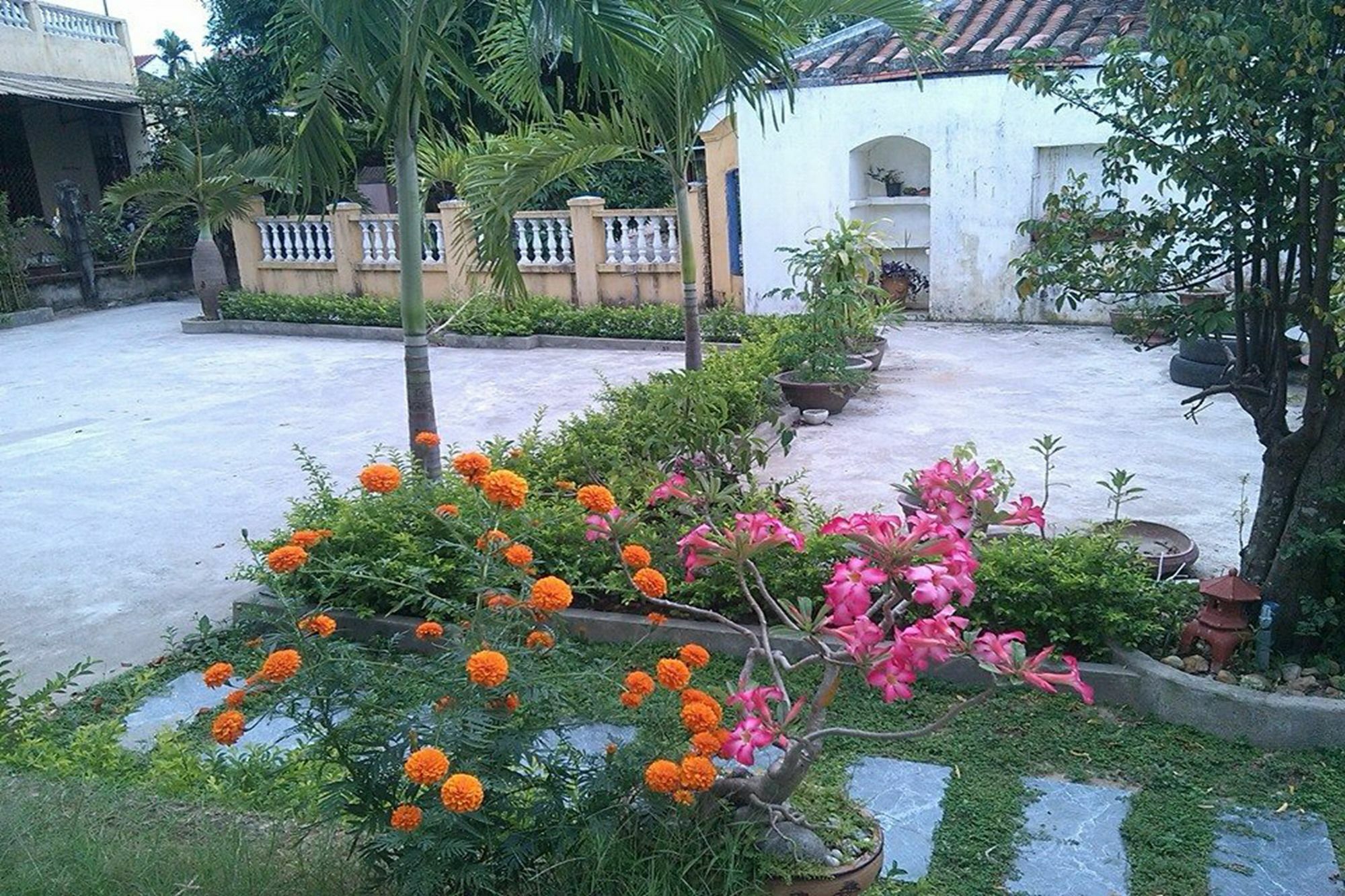 Hoi An Green View Homestay & Villa Kültér fotó