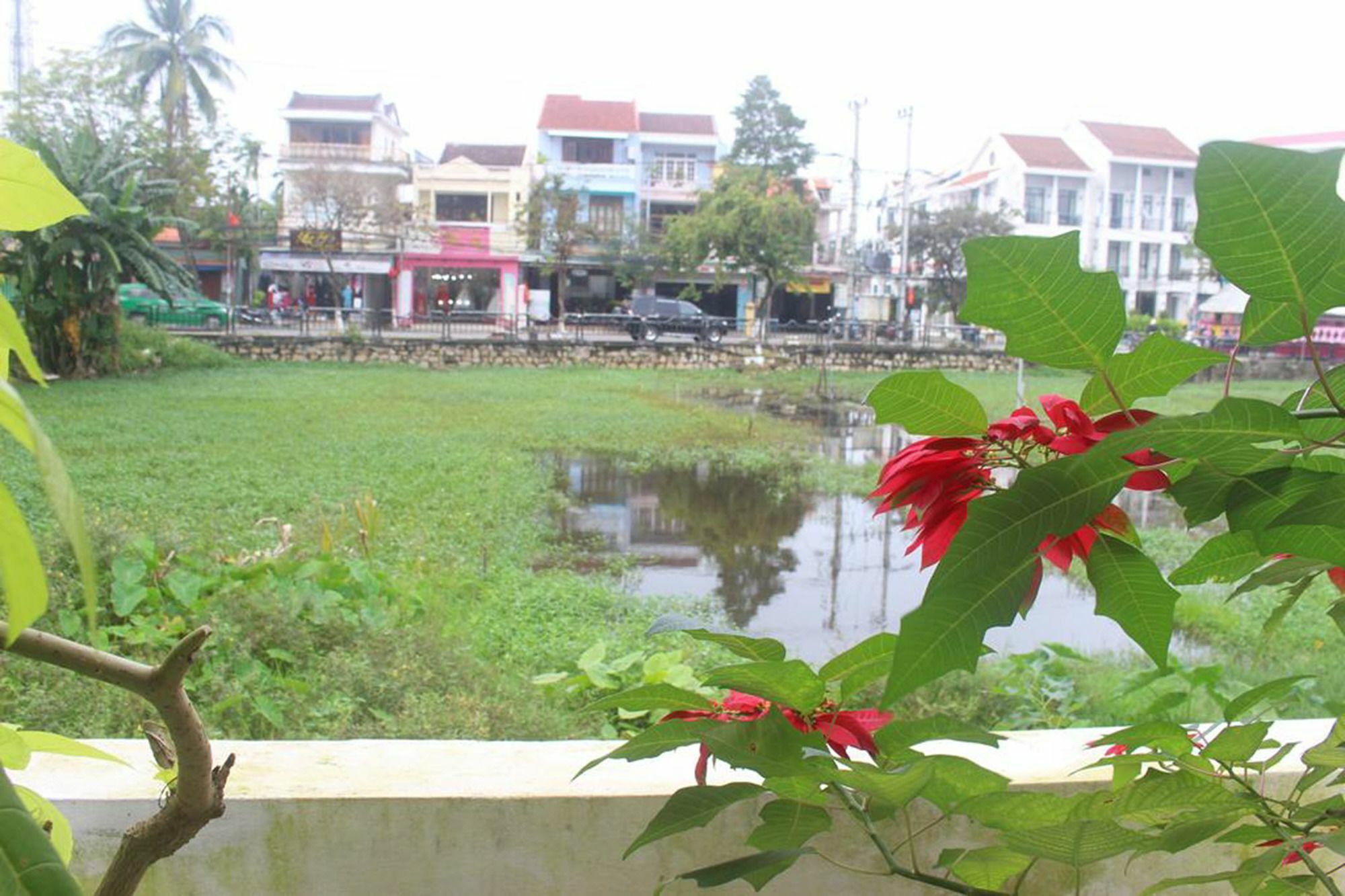 Hoi An Green View Homestay & Villa Kültér fotó