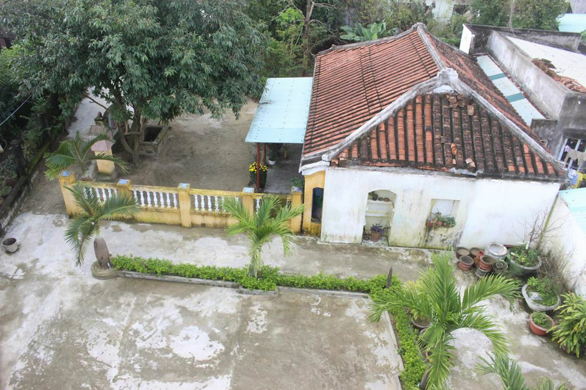 Hoi An Green View Homestay & Villa Kültér fotó